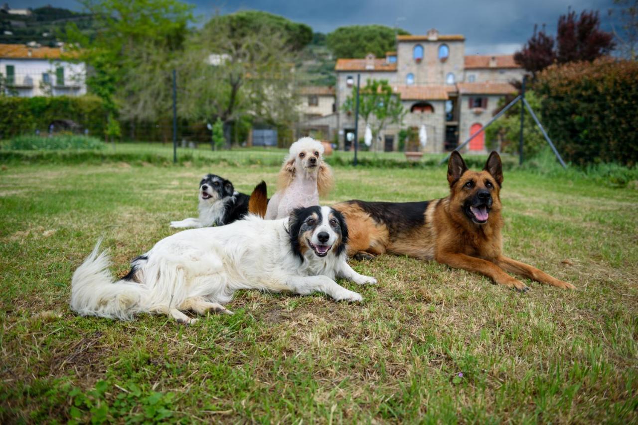 Willa Monastero San Silvestro Cortona Zewnętrze zdjęcie